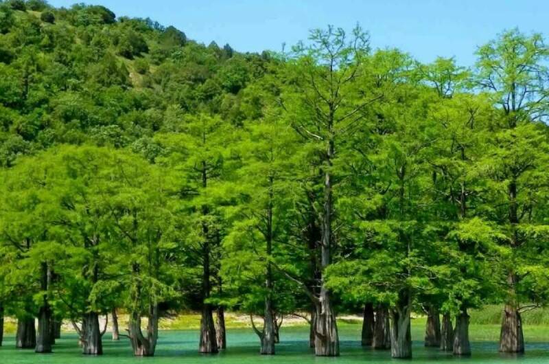 Изображение Изображение квартиры / апартамента "Апарт-студия на Мирной" #11 #9