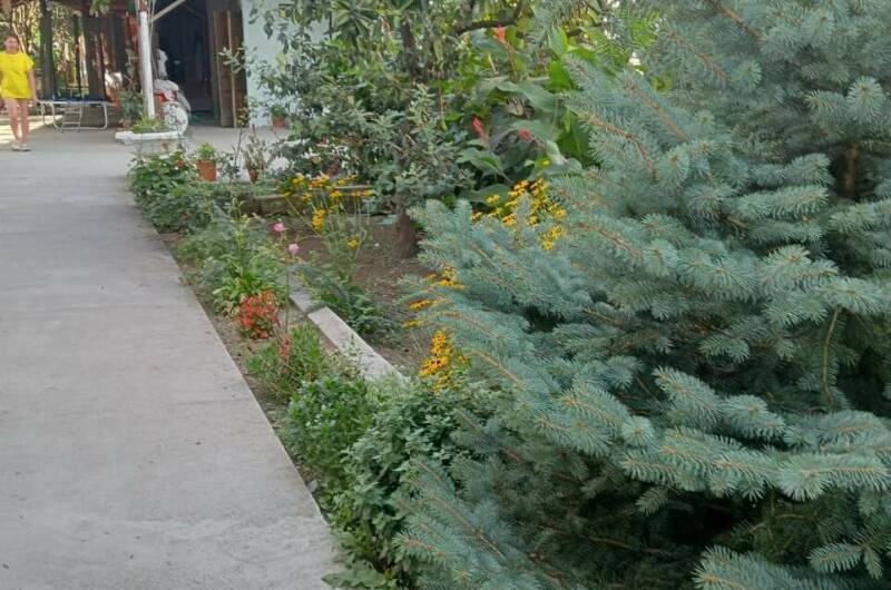 Изображение Изображение гостиницы "Гостевой дом «У Аиды»" #2 #2