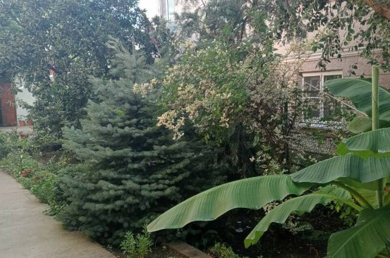 Изображение Изображение гостиницы "Гостевой дом «У Аиды»" #8 #8