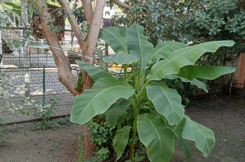 Изображение Изображение отеля / гостиницы "Гостевой дом «У Аиды»" #11 #9