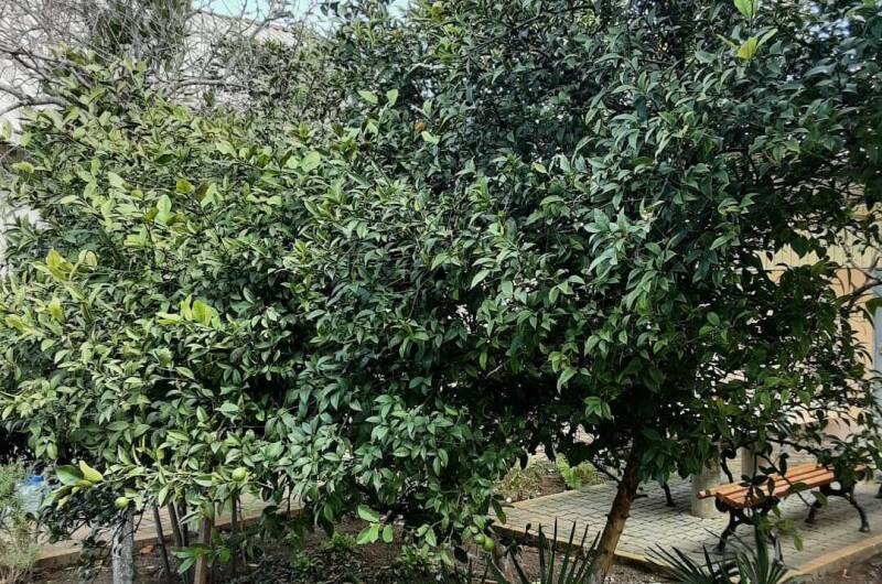 Изображение Изображение квартиры / апартамента "Дом под ключ на Приморской" #10 #8