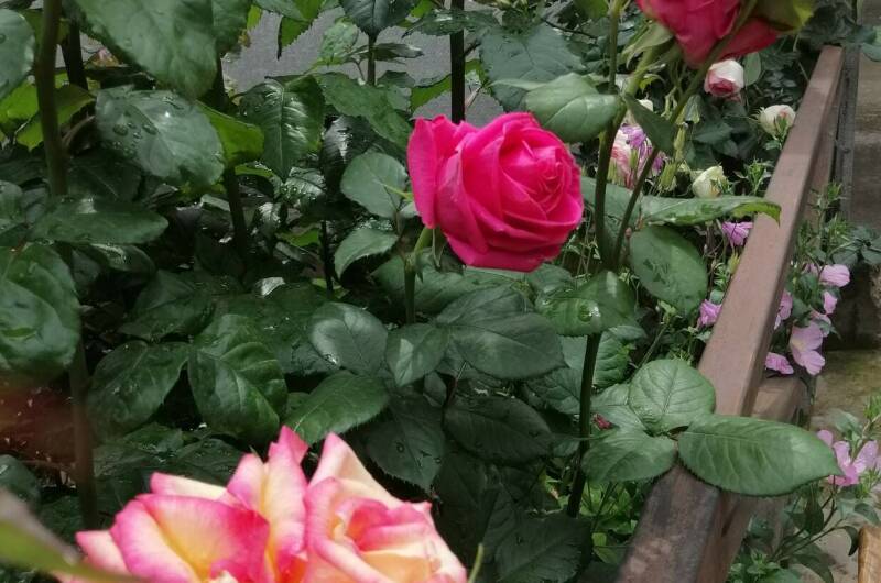 Изображение Изображение гостиницы "Гостевой дом «Ариэль»" #6 #6