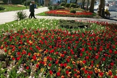 Изображение Изображение квартиры "Студия на Крымской" #4 #4