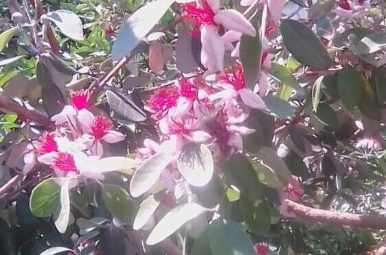 Изображение Изображение гостиницы "Частный сектор «У Кристины»" #5 #5