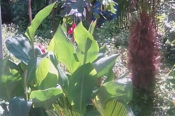 Изображение Изображение гостиницы "Частный сектор «У Кристины»" #8 #8