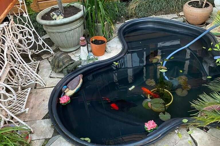 Изображение Изображение гостиницы &quot;Гостевой дом «Марго»&quot; #2 #2