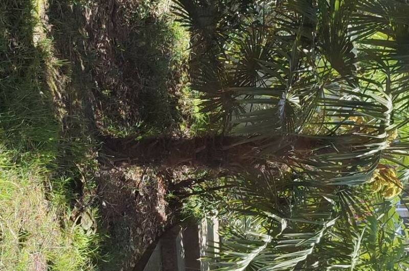 Изображение Изображение отеля / гостиницы "Гостевой дом «Московский»" #11 #9