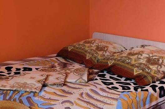 Изображение Изображение гостиницы &quot;Гостевой дом «Маргарита-Холидей»&quot; #4 #4