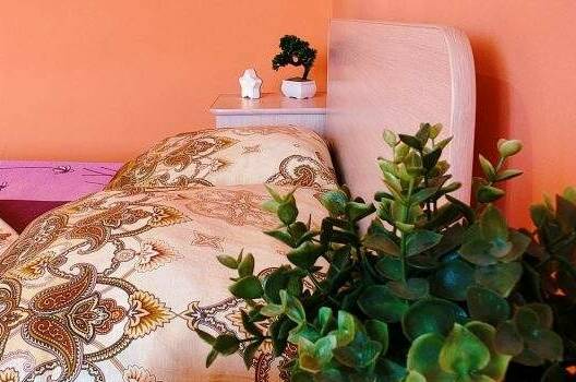 Изображение Изображение отеля / гостиницы "Гостевой дом «Маргарита-Холидей»" #10 #8