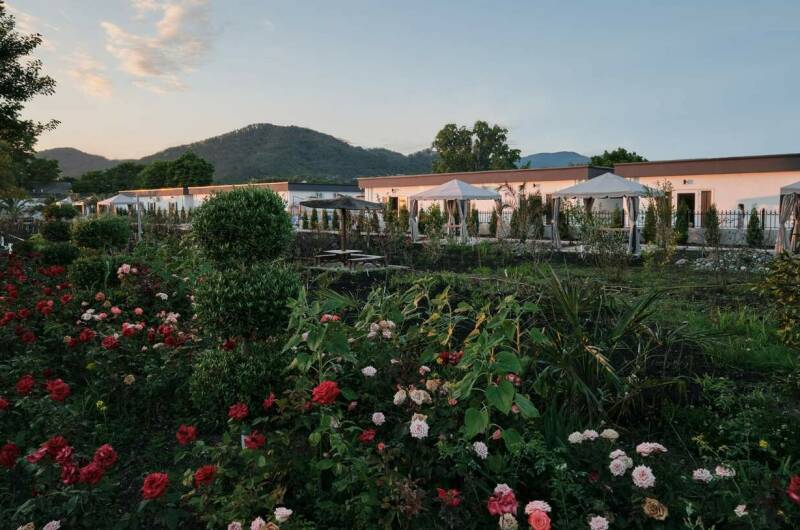 Изображение Изображение гостиницы &quot;Гостевой дом «Черный кот»&quot; #8 #8