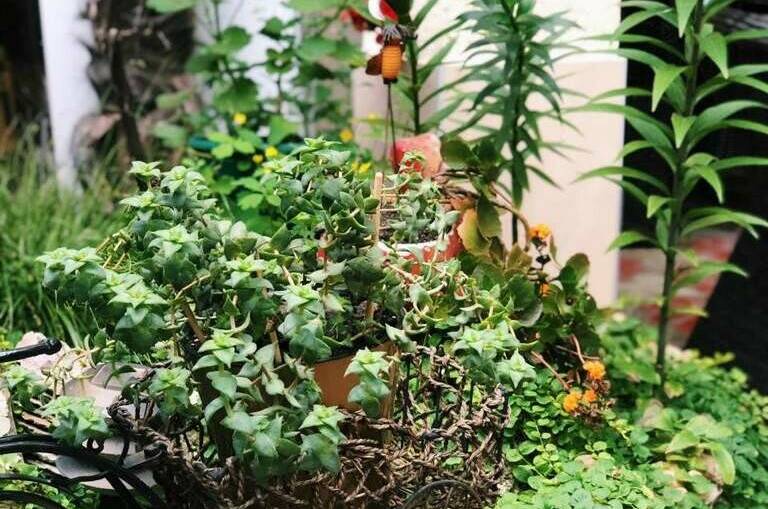 Изображение Изображение гостиницы &quot;Гостевой дом на Победы&quot; #4 #4