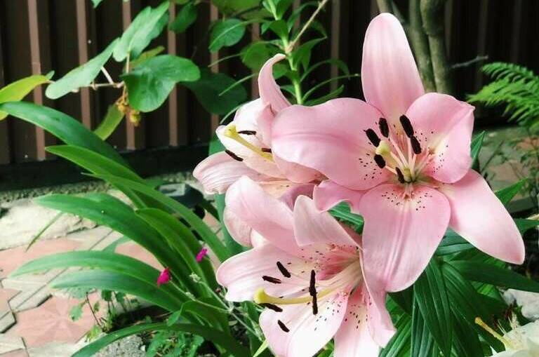 Изображение Изображение гостиницы &quot;Гостевой дом на Победы&quot; #6 #6