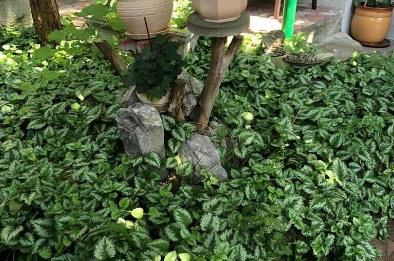 Изображение Изображение гостиницы &quot;Гостевой дом на Победы&quot; #8 #8