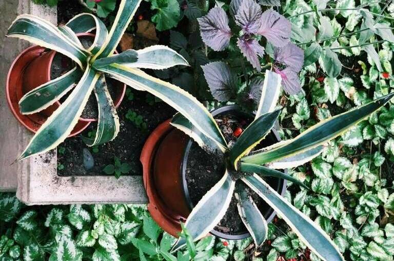 Изображение Изображение отеля / гостиницы "Гостевой дом на Победы" #10 #8