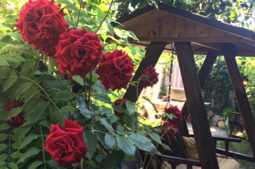 Изображение Изображение гостиницы &quot;Гостевой дом «Зеленый рай»&quot; #3 #3