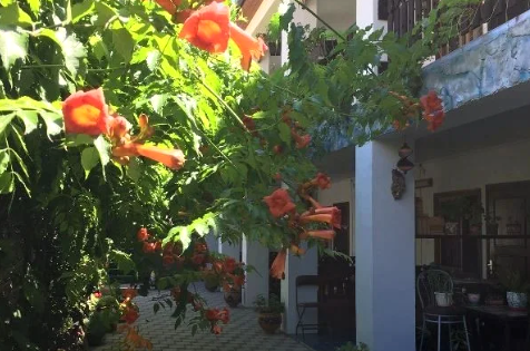 Изображение Изображение гостиницы &quot;Гостевой дом «Зеленый рай»&quot; #6 #6