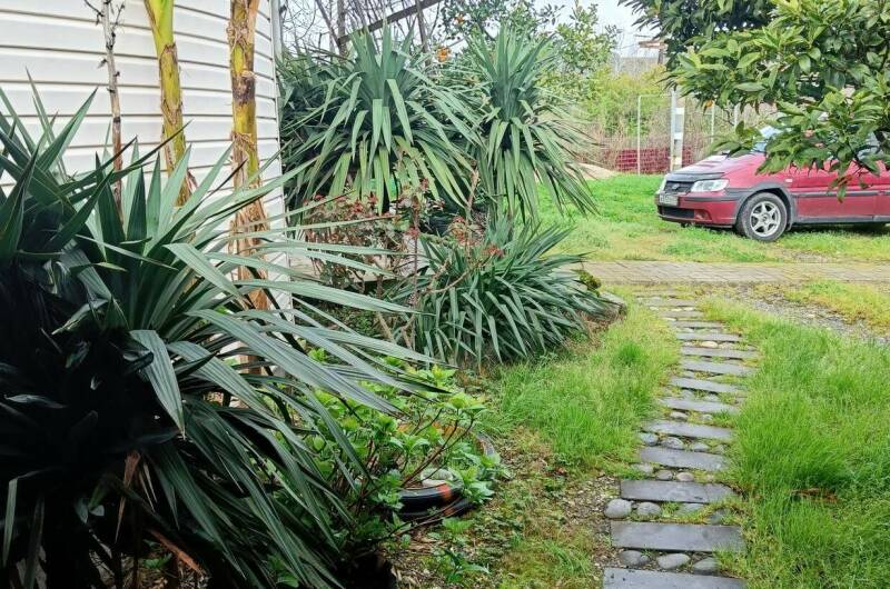 Изображение Изображение гостиницы &quot;Гостевой дом «Цандрипш»&quot; #5 #5