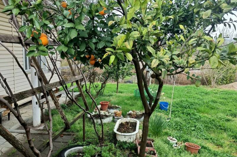 Изображение Изображение гостиницы &quot;Гостевой дом «Цандрипш»&quot; #8 #8