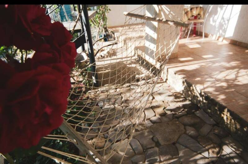 Изображение Изображение гостиницы &quot;Гостевой дом «Medine»&quot; #3 #3