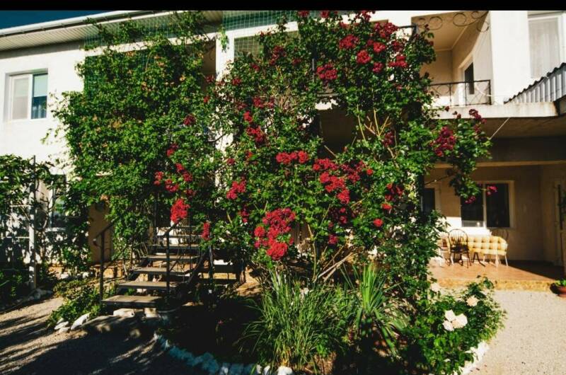 Изображение Изображение отеля / гостиницы "Гостевой дом «Medine»" #11 #9