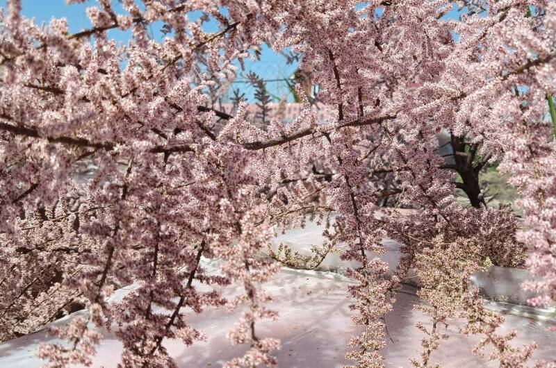 Изображение Изображение квартиры &quot;Коттедж под ключ «Адмирал»&quot; #4 #4