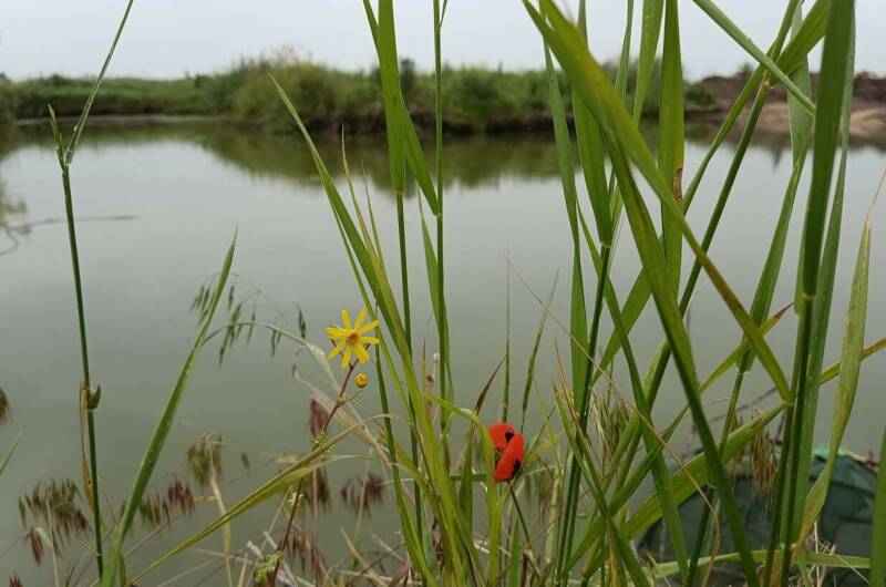 Изображение Изображение квартиры &quot;Коттедж под ключ «Адмирал»&quot; #6 #6