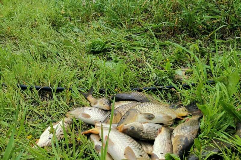 Изображение Изображение квартиры / апартамента "Коттедж под ключ «Адмирал»" #10 #8