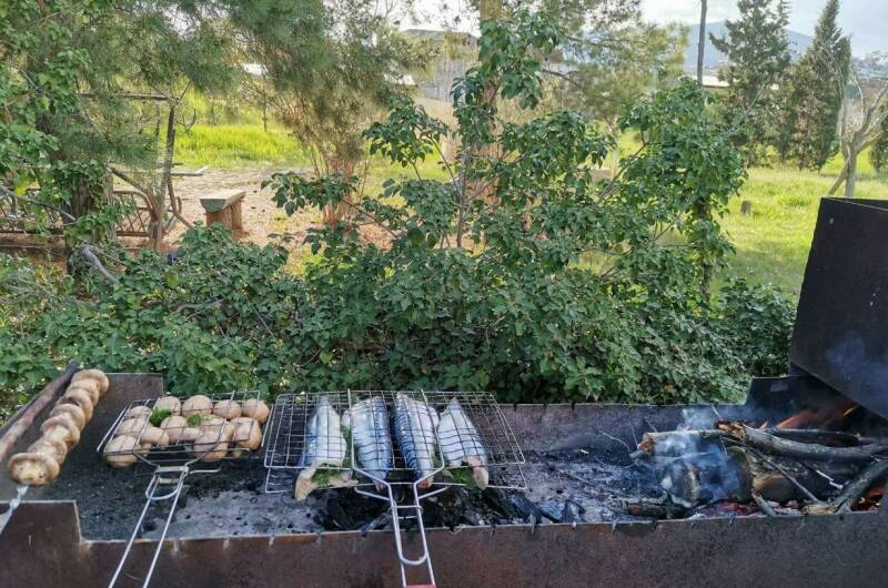 Изображение Изображение гостиницы &quot;Гостевой дом «Eco botanica»&quot; #2 #2