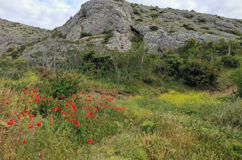 Изображение Изображение гостиницы &quot;Гостевой дом «Eco botanica»&quot; #3 #3
