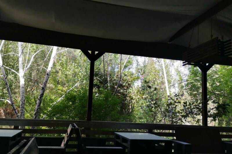 Изображение Изображение гостиницы &quot;Гостевой дом «Eco botanica»&quot; #4 #4