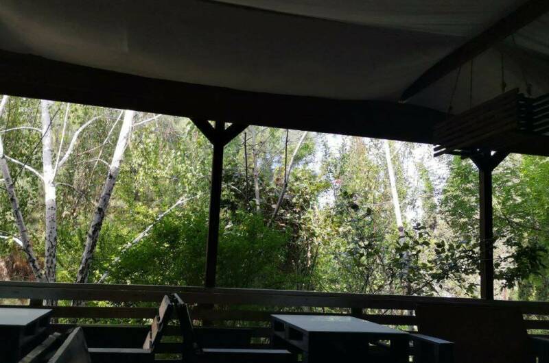 Изображение Изображение гостиницы &quot;Гостевой дом «Eco botanica»&quot; #5 #5