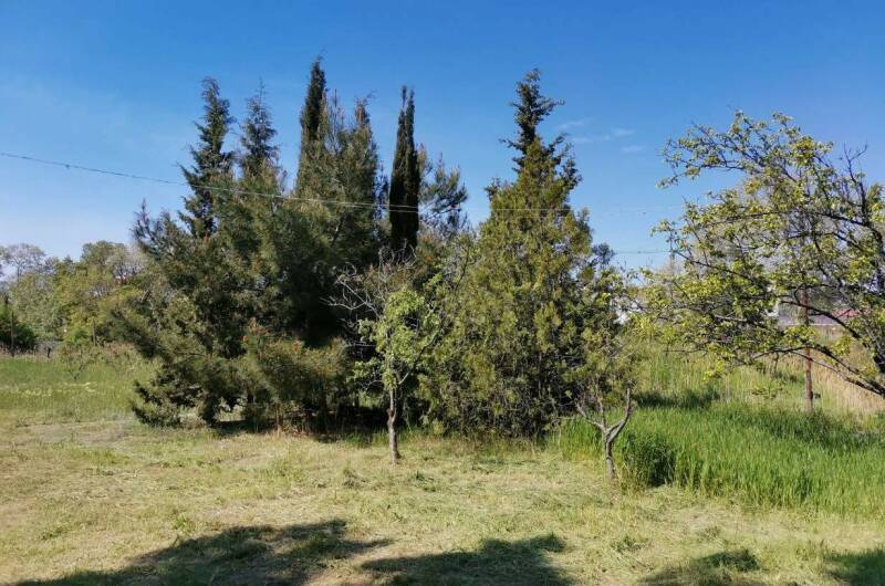 Изображение Изображение гостиницы &quot;Гостевой дом «Eco botanica»&quot; #7 #7