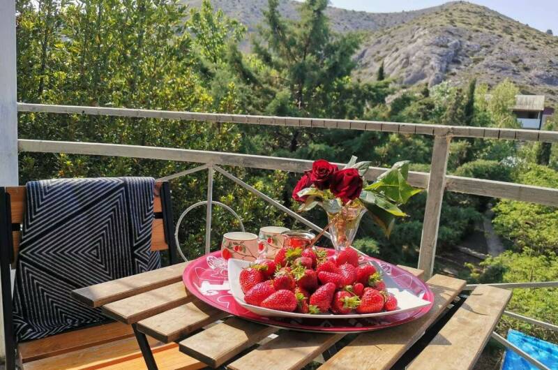 Изображение Изображение гостиницы &quot;Гостевой дом «Eco botanica»&quot; #8 #8