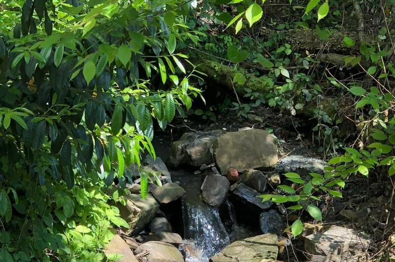 Изображение Изображение гостиницы "Гостевой дом «Сура»" #3 #3