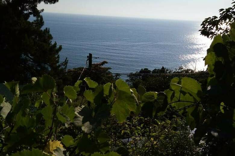 Изображение Изображение квартиры &quot;Домик у моря&quot; #1 #1