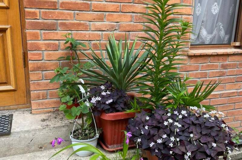 Изображение Изображение квартиры "Однокомнатный номер квартирного типа" #4 #4