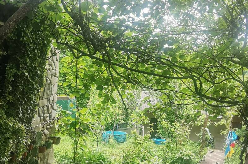 Изображение Изображение гостиницы "Уютные домики у моря" #2 #2