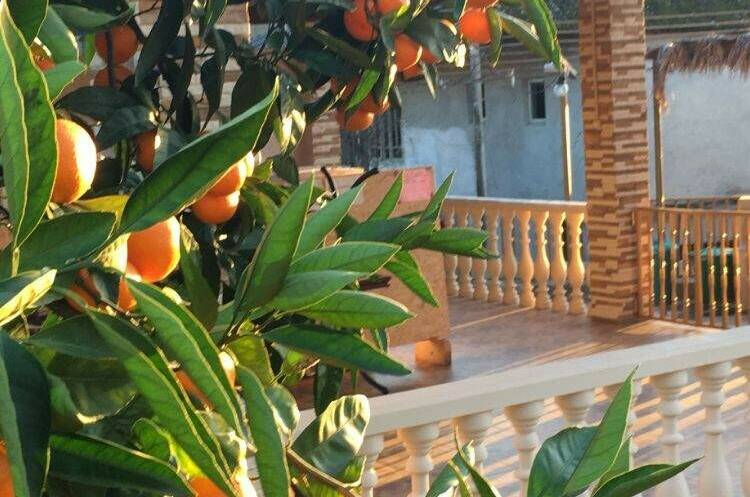 Изображение Изображение гостиницы "Гостевой дом «Аллея роз»" #3 #3