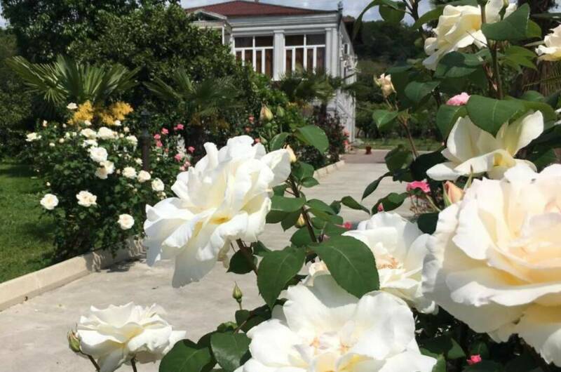 Изображение Изображение гостиницы "Гостевой дом «Аллея роз»" #4 #4