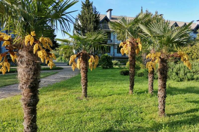 Изображение Изображение квартиры "Апартаменты «Агой»" #4 #4