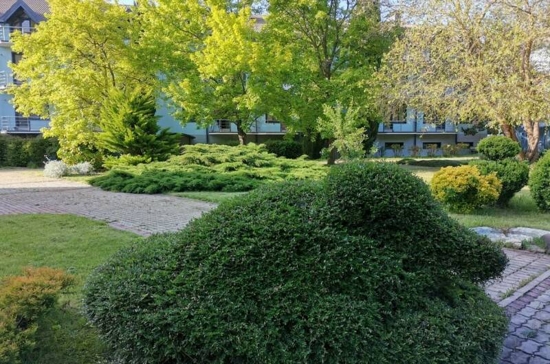 Изображение Изображение квартиры "Апартаменты «Агой»" #6 #6