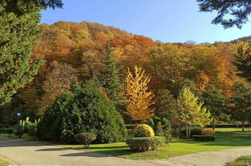 Изображение Изображение квартиры "Апартаменты «Агой»" #8 #8