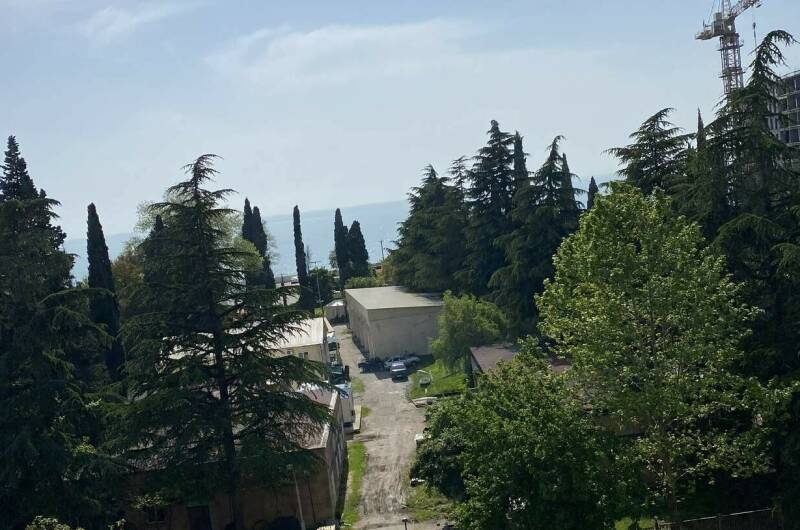 Изображение Изображение квартиры "2-х комнатная квартира на Абазгаа" #4 #4