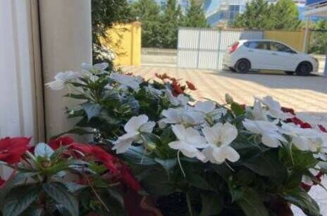 Изображение Изображение гостиницы &quot;Гостевой дом «Прибой»&quot; #3 #3