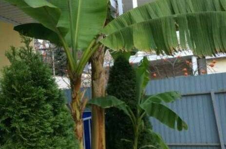 Изображение Изображение отеля / гостиницы "Гостевой дом «Прибой»" #11 #9