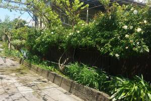 Изображение отеля / гостиницы "Гостевой дом «Анна»"