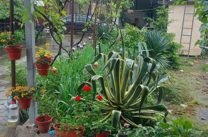 Изображение Изображение гостиницы "Гостевой дом «Анна»" #3 #3