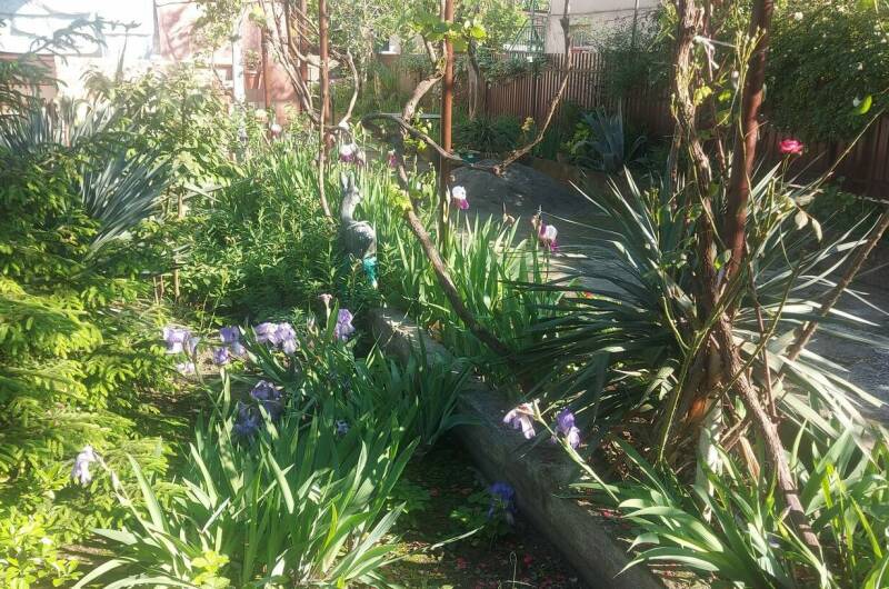 Изображение Изображение гостиницы "Гостевой дом «Анна»" #4 #4