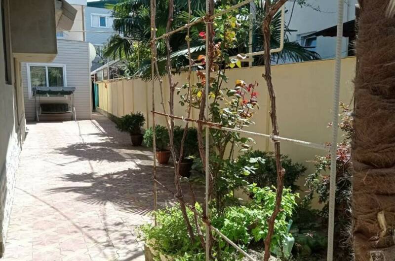 Изображение Изображение гостиницы &quot;Гостевой дом «У греков»&quot; #3 #3