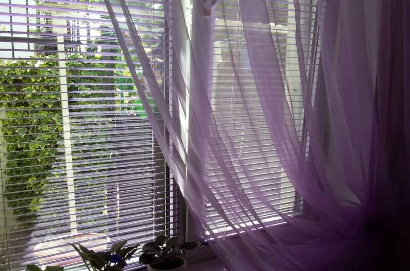 Изображение Изображение квартиры &quot;Комната у моря&quot; #1 #1